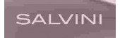 Salvini